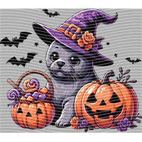 Halloween-WS 5757